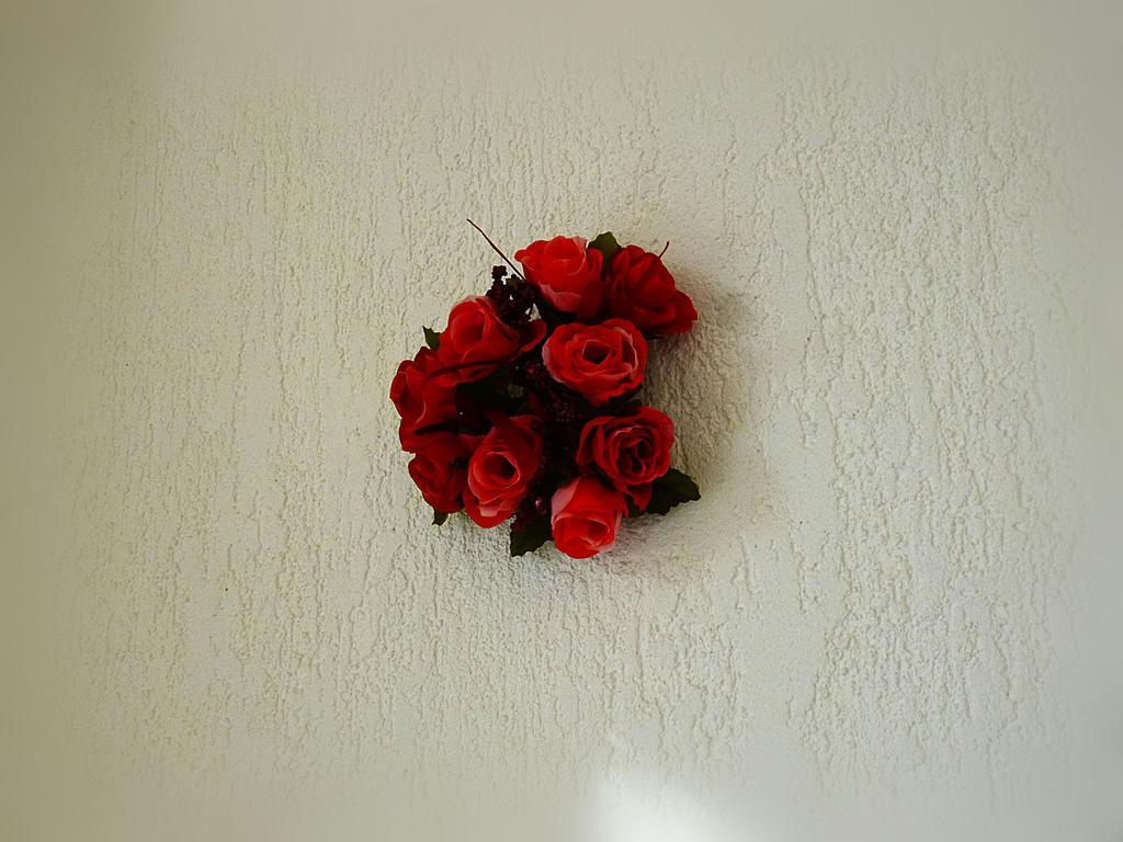 Ditton Apartment City Center Daugavpils Room photo
